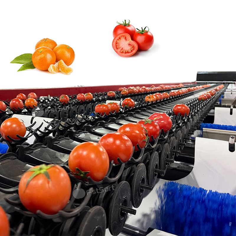 images/1769396573912citrus 4 lines.jpg